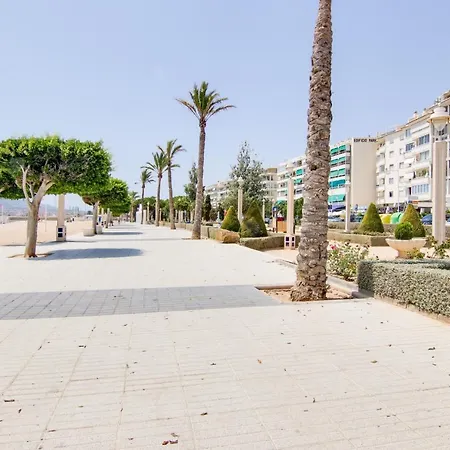 Altaia * Altea