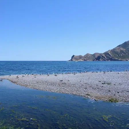 Altaia * Altea